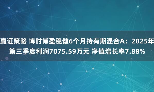 赢证策略 博时博盈稳健6个月持有期混合A：2025年第三季度利润7075.59万元 净值增长率7.88%