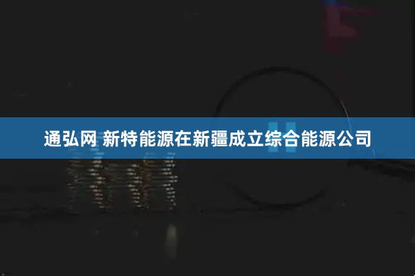 通弘网 新特能源在新疆成立综合能源公司